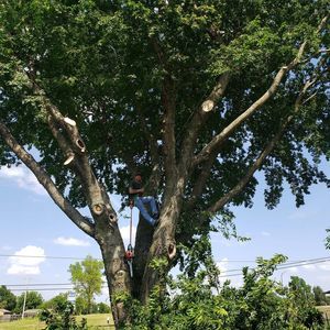 Meet your Posher, Josh